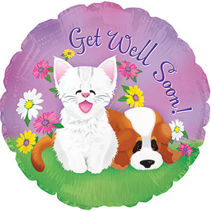 Get Well Puppy and Kitten