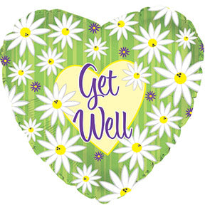 Get Well Green Stripes and Daisies