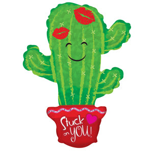 Stuck on You Cactus