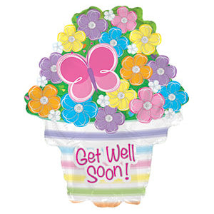 Get Well Soon Flowers and Butterfly